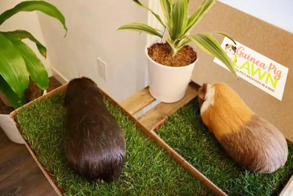 Guinea Pig Pee Pads, Fresh Grass Mat, Hamster Small Pet Bed 12x9