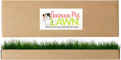 Guinea Pig Pee Pads, Fresh Grass Mat, Hamster Small Pet Bed 12x9