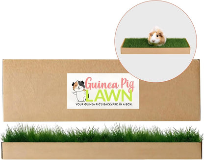 Guinea Pig Pee Pads, Fresh Grass Mat, Hamster Small Pet Bed 12x9