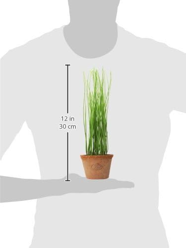 Esschert Design Artificial Herb Plant, Rosemary, Large