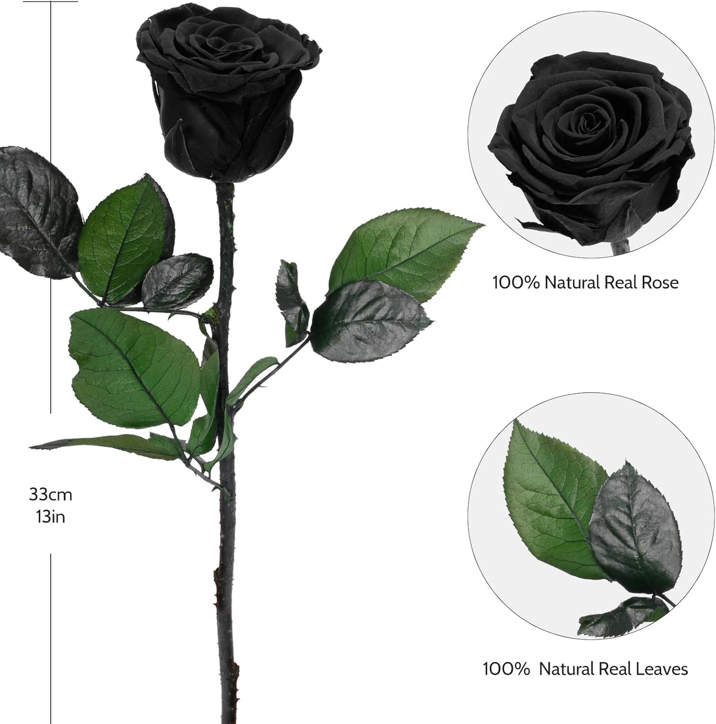 Preserved Flowers Rose Gifts for Women Mom, Mothers Day Rose Flower Gifts for Moms,Forever Real Flowers Mom Birthday Grandma Gifts, Valentines Day Gift for Her Girlfriend Wife Anniversary(Red)