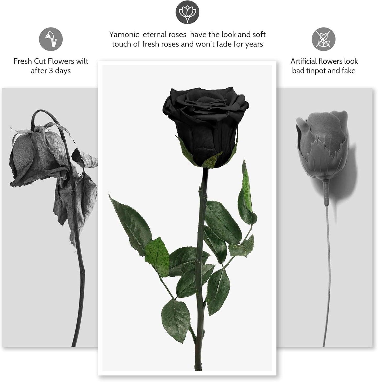 Preserved Flowers Rose Gifts for Women Mom, Mothers Day Rose Flower Gifts for Moms,Forever Real Flowers Mom Birthday Grandma Gifts, Valentines Day Gift for Her Girlfriend Wife Anniversary(Red)