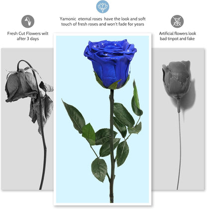 Preserved Flowers Rose Gifts for Women Mom, Mothers Day Rose Flower Gifts for Moms,Forever Real Flowers Mom Birthday Grandma Gifts, Valentines Day Gift for Her Girlfriend Wife Anniversary(Red)