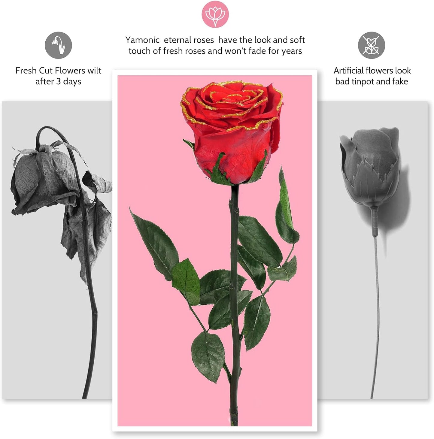 Preserved Flowers Rose Gifts for Women Mom, Mothers Day Rose Flower Gifts for Moms,Forever Real Flowers Mom Birthday Grandma Gifts, Valentines Day Gift for Her Girlfriend Wife Anniversary(Red)