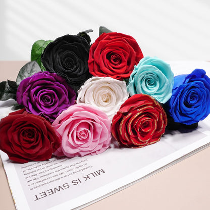 Preserved Flowers Rose Gifts for Women Mom, Mothers Day Rose Flower Gifts for Moms,Forever Real Flowers Mom Birthday Grandma Gifts, Valentines Day Gift for Her Girlfriend Wife Anniversary(Red)