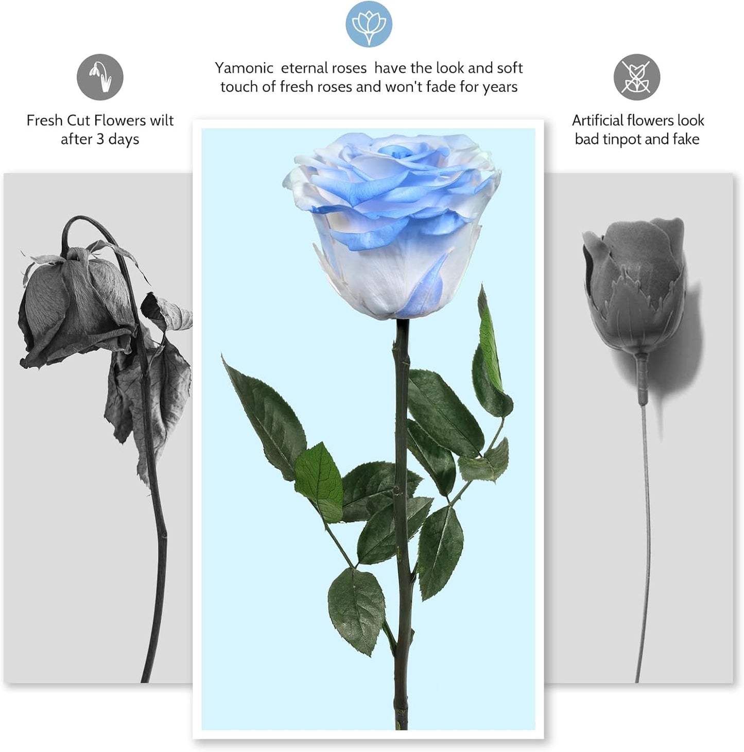 Preserved Flowers Rose Gifts for Women Mom, Mothers Day Rose Flower Gifts for Moms,Forever Real Flowers Mom Birthday Grandma Gifts, Valentines Day Gift for Her Girlfriend Wife Anniversary(Red)