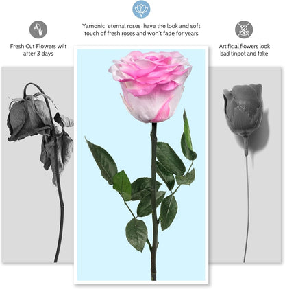 Preserved Flowers Rose Gifts for Women Mom, Mothers Day Rose Flower Gifts for Moms,Forever Real Flowers Mom Birthday Grandma Gifts, Valentines Day Gift for Her Girlfriend Wife Anniversary(Red)