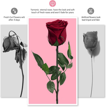 Preserved Flowers Rose Gifts for Women Mom, Mothers Day Rose Flower Gifts for Moms,Forever Real Flowers Mom Birthday Grandma Gifts, Valentines Day Gift for Her Girlfriend Wife Anniversary(Red)