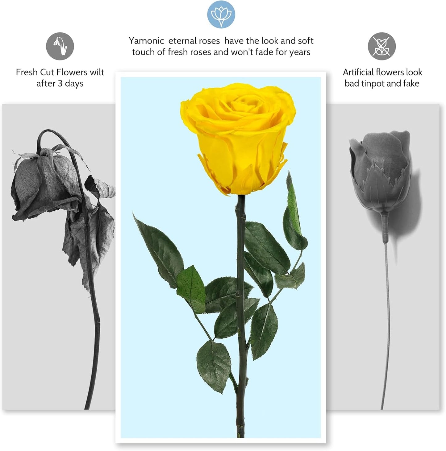Preserved Flowers Rose Gifts for Women Mom, Mothers Day Rose Flower Gifts for Moms,Forever Real Flowers Mom Birthday Grandma Gifts, Valentines Day Gift for Her Girlfriend Wife Anniversary(Red)