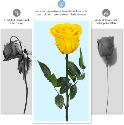 Preserved Flowers Rose Gifts for Women Mom, Mothers Day Rose Flower Gifts for Moms,Forever Real Flowers Mom Birthday Grandma Gifts, Valentines Day Gift for Her Girlfriend Wife Anniversary(Red)