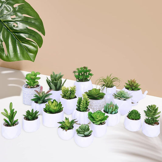 20 Pcs Assorted Artificial Succulents Plants Unpotted Small Green Cactus Echeveria Air Plant Picks Fake Succulents Bulk for Succulent Garden Wreath Floral Arrangement Indoor Outdoor Home Decor
