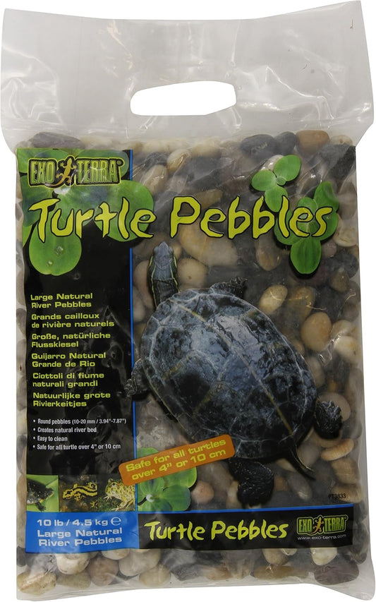 Turtle Pebbles, Large