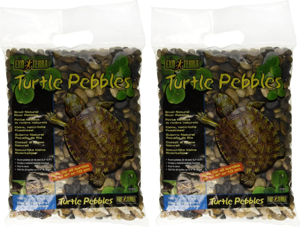 Turtle Pebbles, Large