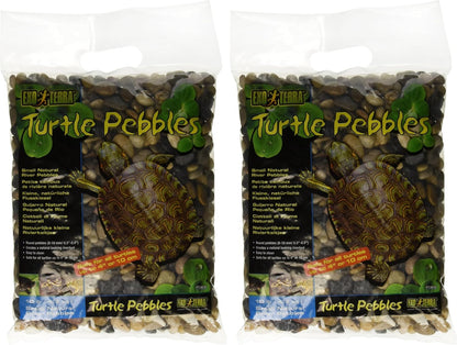 Turtle Pebbles, Large
