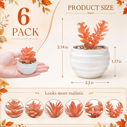 6 Pack Succulents Fake Plants for Bedroom Bathroom Home Decor | Small fake plants，perfect for aesthetic living room shelf decor，office desk accessories，gifts for women，fresh all year