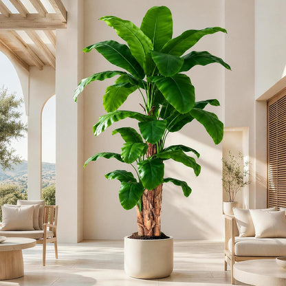Lifelike Bird of Paradise Artificial Plant 6ft Faux Banana Leaf Tree with White Tall Planter for Home Decor - Perfect Indoor Silk Floor Plant for Living Room, Office, and Bedroom Ambiance Enhancement