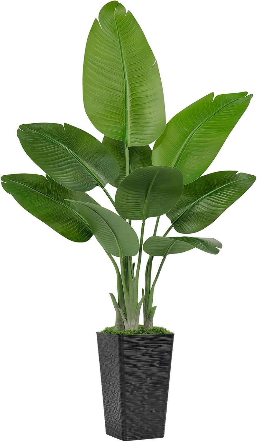 Lifelike Bird of Paradise Artificial Plant 6ft Faux Banana Leaf Tree with White Tall Planter for Home Decor - Perfect Indoor Silk Floor Plant for Living Room, Office, and Bedroom Ambiance Enhancement
