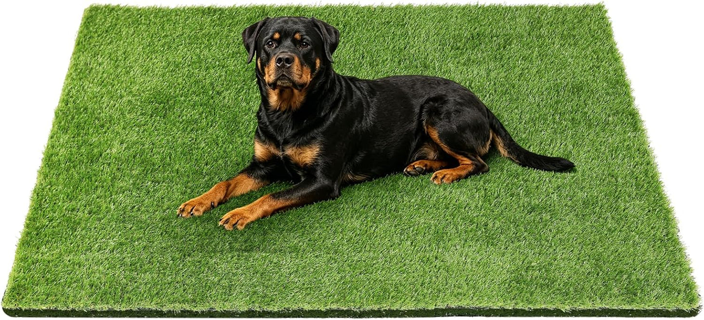 48" x 32" Premium Artificial Grass Mat for Dogs Cats | Washable Fake Turf Rug for Pet Pee Potty Training Patio Lawn Balcony Door Decoration