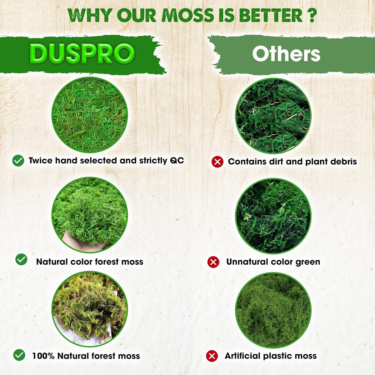Green Forest Moss for Crafts, Real Dried Decorative Moss, 2 oz