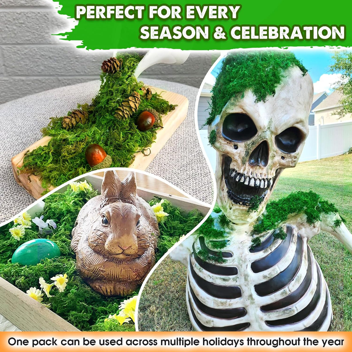 Green Forest Moss for Crafts, Real Dried Decorative Moss, 2 oz
