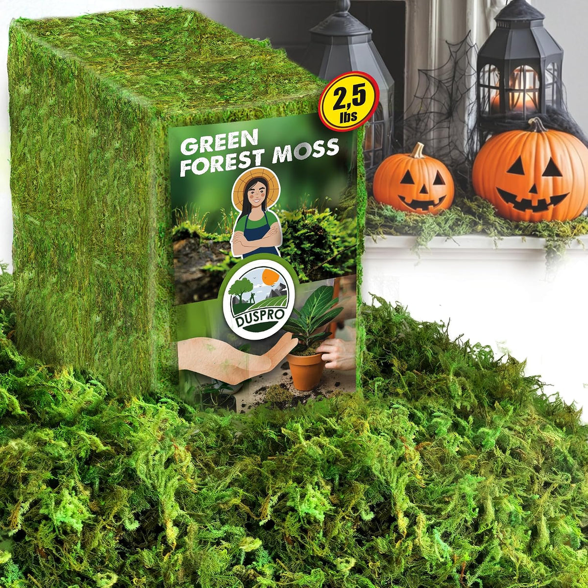 Green Forest Moss for Crafts, Real Dried Decorative Moss, 2 oz