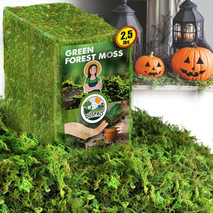 Green Forest Moss for Crafts, Real Dried Decorative Moss, 2 oz