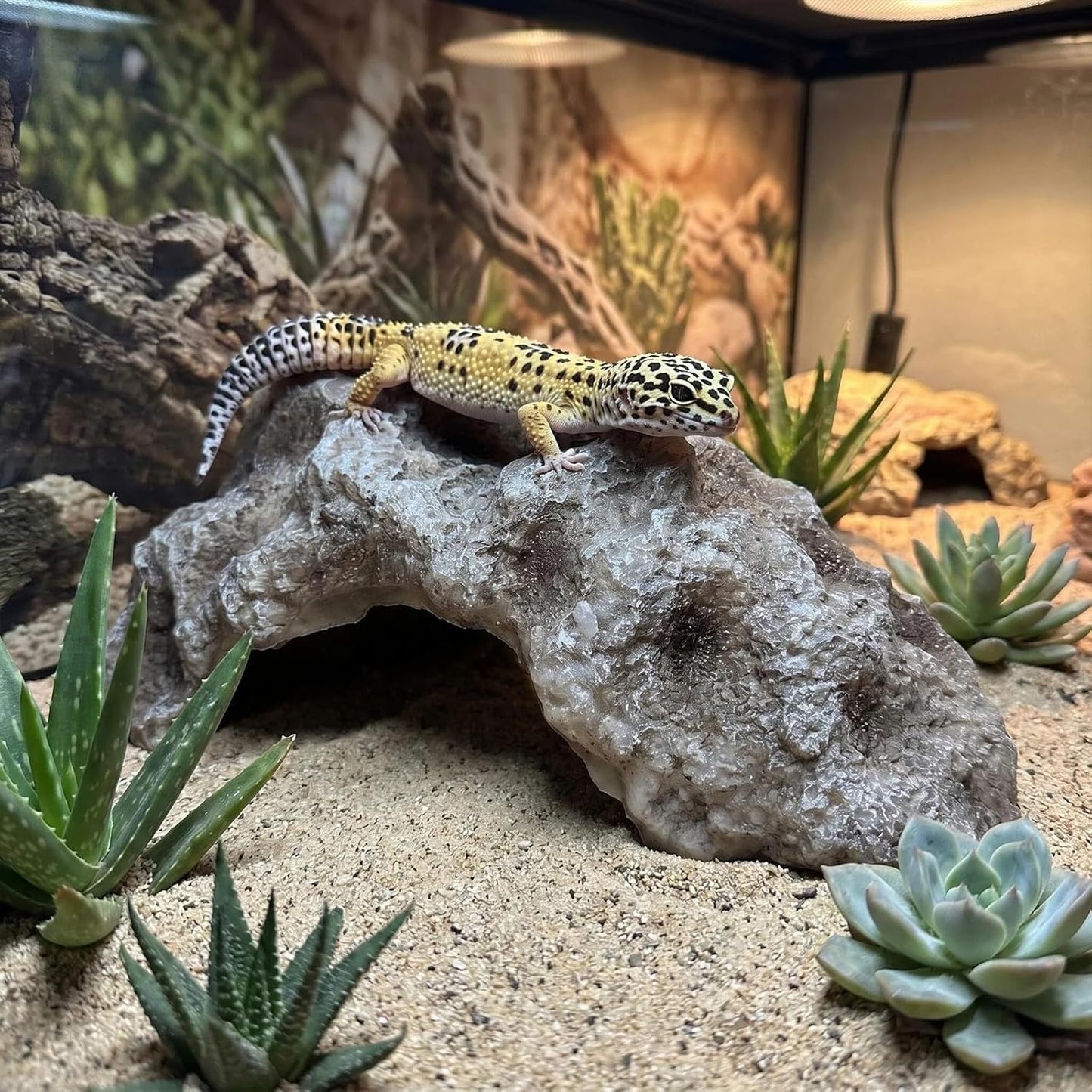 Reptile Rock Cave Hideout, Simulation Natural Rock Habitat Decor, Resin Reptile Hide Cave for Lizard, Gecko, Bearded Dragon, Snake, Tortoise, Amphibians Tank Accessories Decoration