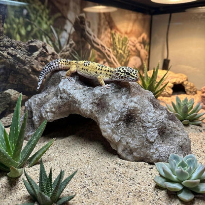 Reptile Rock Cave Hideout, Simulation Natural Rock Habitat Decor, Resin Reptile Hide Cave for Lizard, Gecko, Bearded Dragon, Snake, Tortoise, Amphibians Tank Accessories Decoration