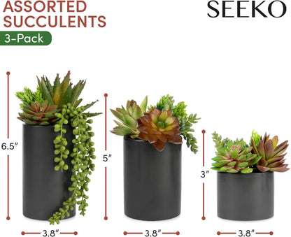 Plants Artificial in Ceramic Pots - Faux Office Plants | Also called faux succulents - realistic, premium quality. For bathroom, home & office decor 3 pack, in ceramic pots