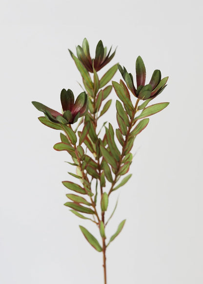 26.25-Inch Green Artificial Wild Protea Foliage, Realistic Faux Tropical Greenery Stem