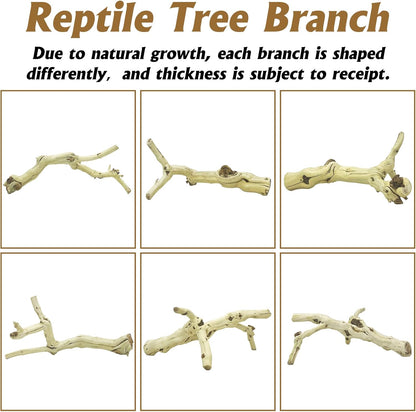 Snake Climbing Branch, 2Pcs Reptile Wood Natural Cork Log Tank Accessories Tree Trunk for Chameleon Bearded Dragon Gecko Snake Frog Spider