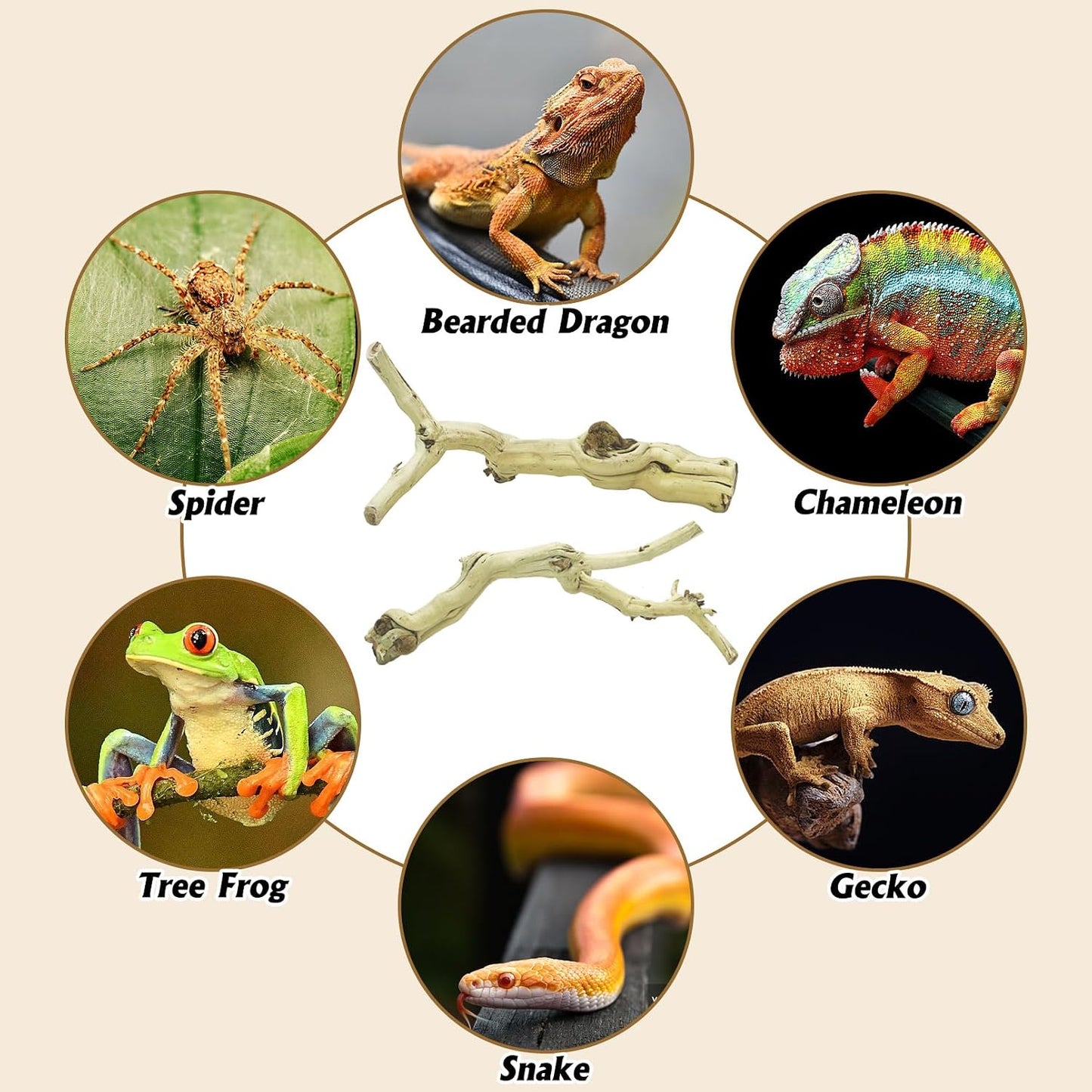 Snake Climbing Branch, 2Pcs Reptile Wood Natural Cork Log Tank Accessories Tree Trunk for Chameleon Bearded Dragon Gecko Snake Frog Spider