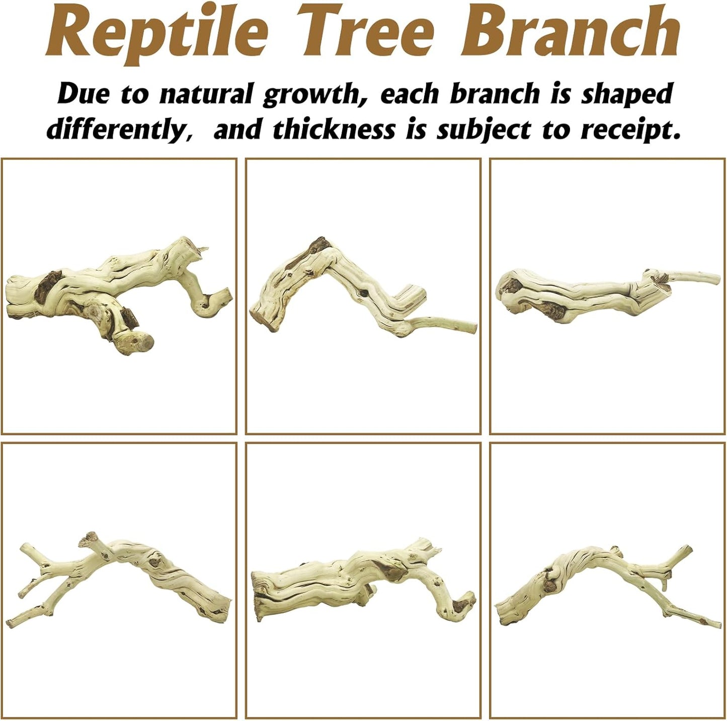 Snake Climbing Branch, 2Pcs Reptile Wood Natural Cork Log Tank Accessories Tree Trunk for Chameleon Bearded Dragon Gecko Snake Frog Spider