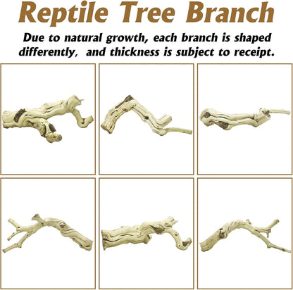 Snake Climbing Branch, 2Pcs Reptile Wood Natural Cork Log Tank Accessories Tree Trunk for Chameleon Bearded Dragon Gecko Snake Frog Spider