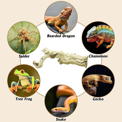 Snake Climbing Branch, 2Pcs Reptile Wood Natural Cork Log Tank Accessories Tree Trunk for Chameleon Bearded Dragon Gecko Snake Frog Spider