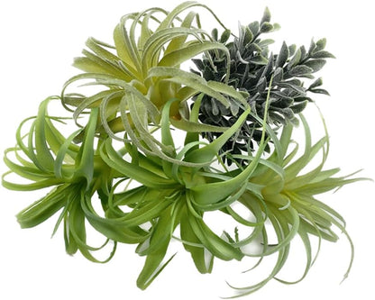 POANTA 5 Pack Assorted Artificial Succulents Air Plants Set Unpotted Realistic Greenery Plants Home Garden Decoration