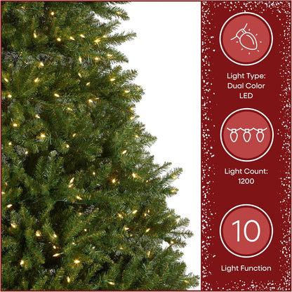 7.5ft Pre-Lit Dunhill Fir Artificial Christmas Tree | 700 LED Lights, 10 Light Functions, 2,514 Tips, Foot Pedal, Includes Stand, Green