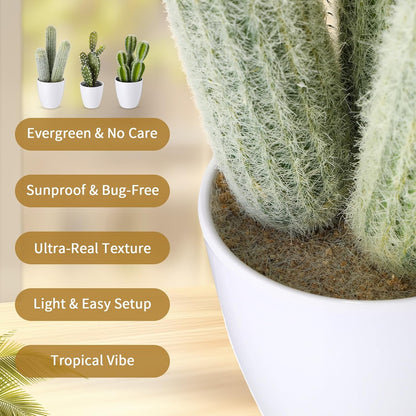 3 Pcs Artificial Cactus Plants 9-11'' Fake Cactus Potted Decor No Maintenance Faux Succulent Cacti Nordic Style Decor for Home Office Desk Shelf Living Room Indoor Housewarming Gifts