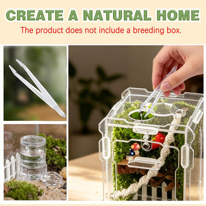 12Pcs Jumping Spider Enclosure Decor Kit - Natural Terrarium Accessories Set with Climbing Net, Moss, Mushroom Shelves, Water Feeder for Small Reptile Habitat Tarantula Gecko