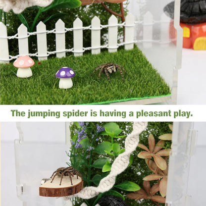 12Pcs Jumping Spider Enclosure Decor Kit - Natural Terrarium Accessories Set with Climbing Net, Moss, Mushroom Shelves, Water Feeder for Small Reptile Habitat Tarantula Gecko