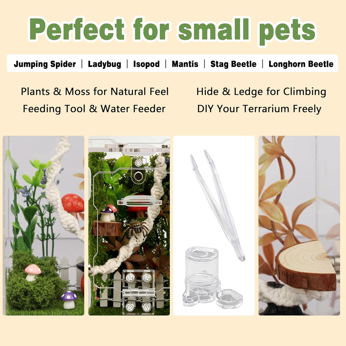12Pcs Jumping Spider Enclosure Decor Kit - Natural Terrarium Accessories Set with Climbing Net, Moss, Mushroom Shelves, Water Feeder for Small Reptile Habitat Tarantula Gecko