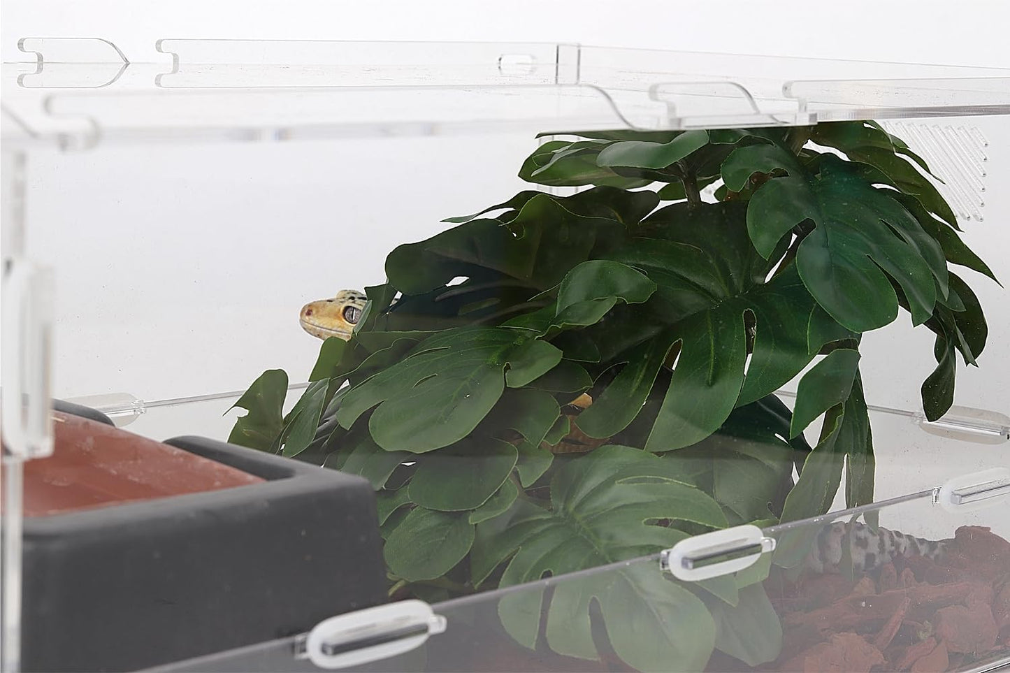 Reptile Plants for Terrarium, Ball Python Tank Decor Accessories fit Bearded Dragon Crested Leopard Gecko Lizard Chameleon Snake Frog Tortoise Hermit Crab - Fake Sweet Potato Vine