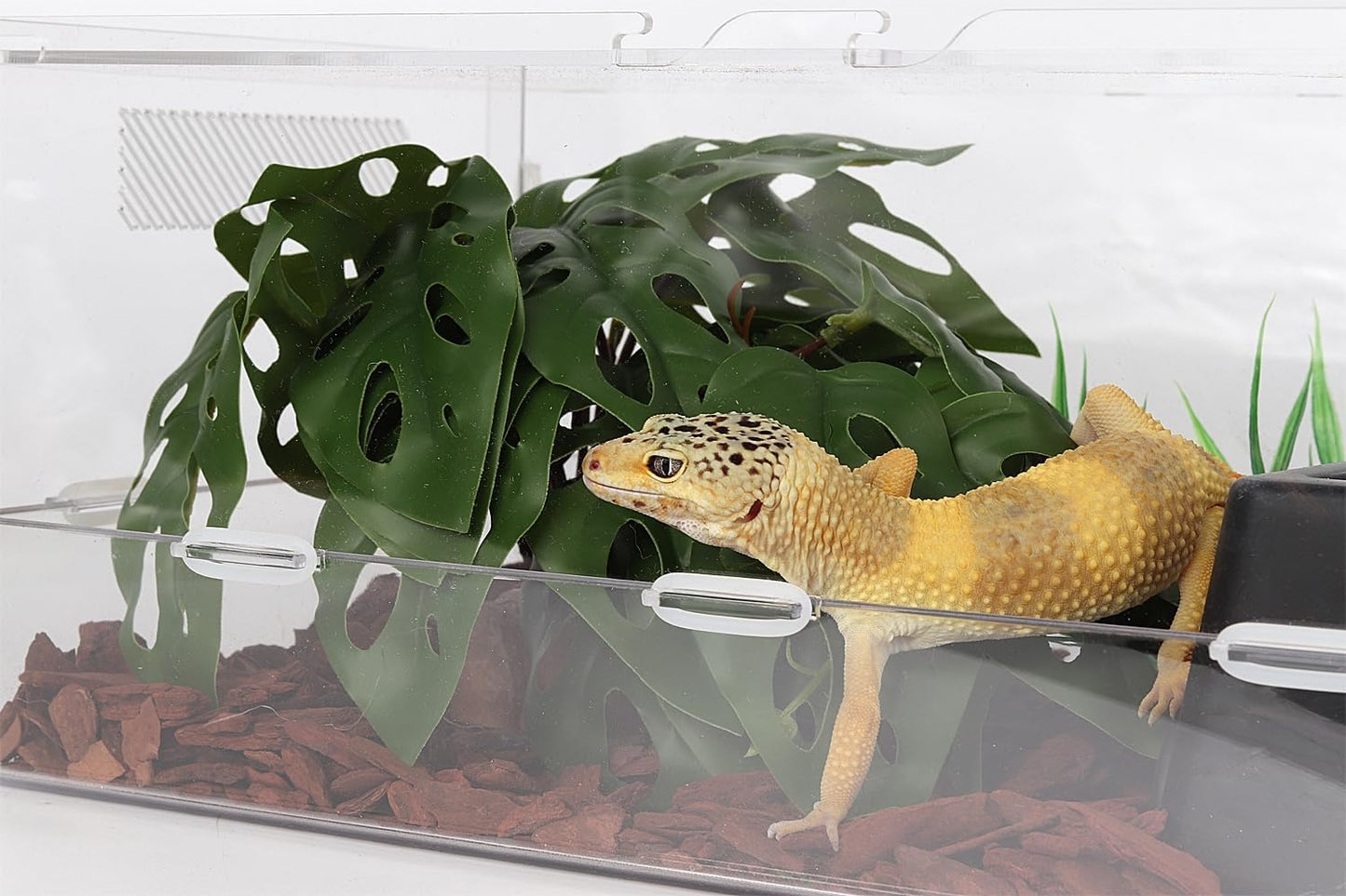 Reptile Plants for Terrarium, Ball Python Tank Decor Accessories fit Bearded Dragon Crested Leopard Gecko Lizard Chameleon Snake Frog Tortoise Hermit Crab - Fake Sweet Potato Vine