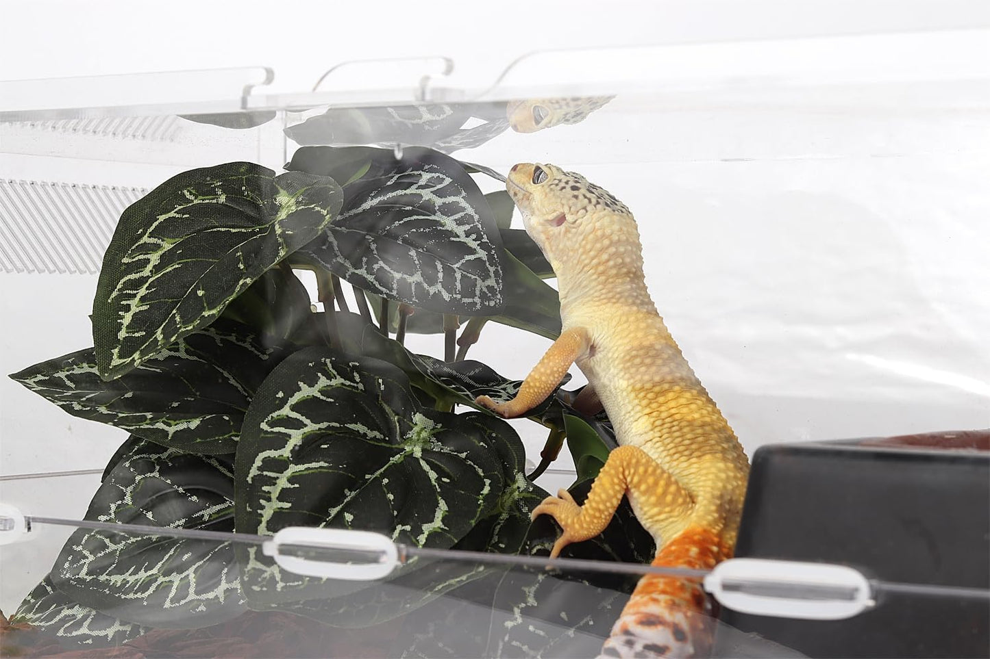 Reptile Plants for Terrarium, Ball Python Tank Decor Accessories fit Bearded Dragon Crested Leopard Gecko Lizard Chameleon Snake Frog Tortoise Hermit Crab - Fake Sweet Potato Vine