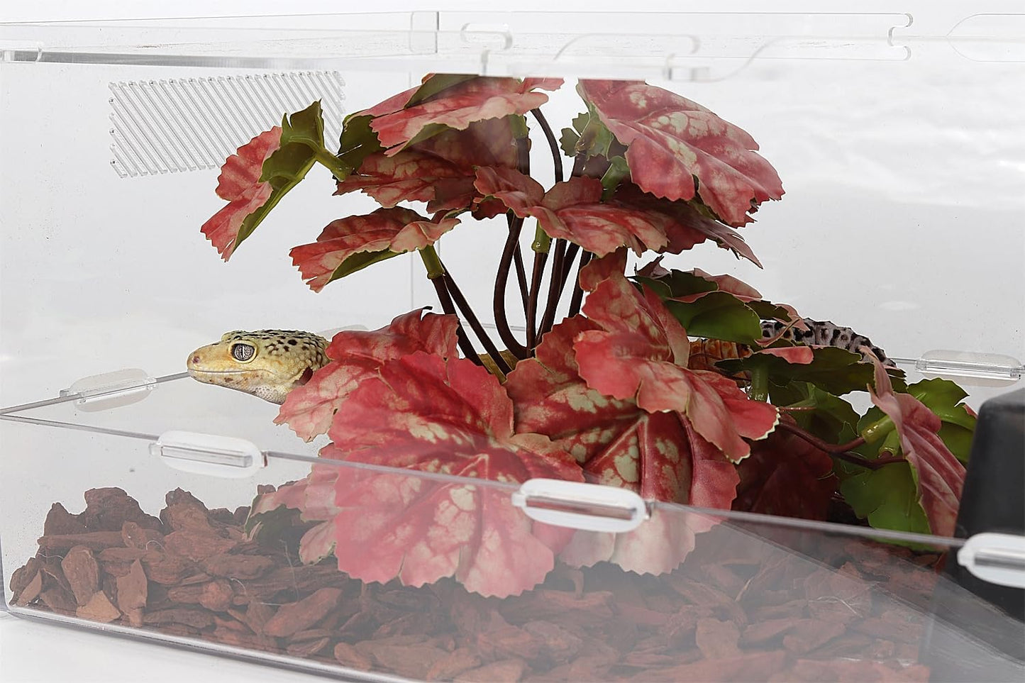 Reptile Plants for Terrarium, Ball Python Tank Decor Accessories fit Bearded Dragon Crested Leopard Gecko Lizard Chameleon Snake Frog Tortoise Hermit Crab - Fake Sweet Potato Vine