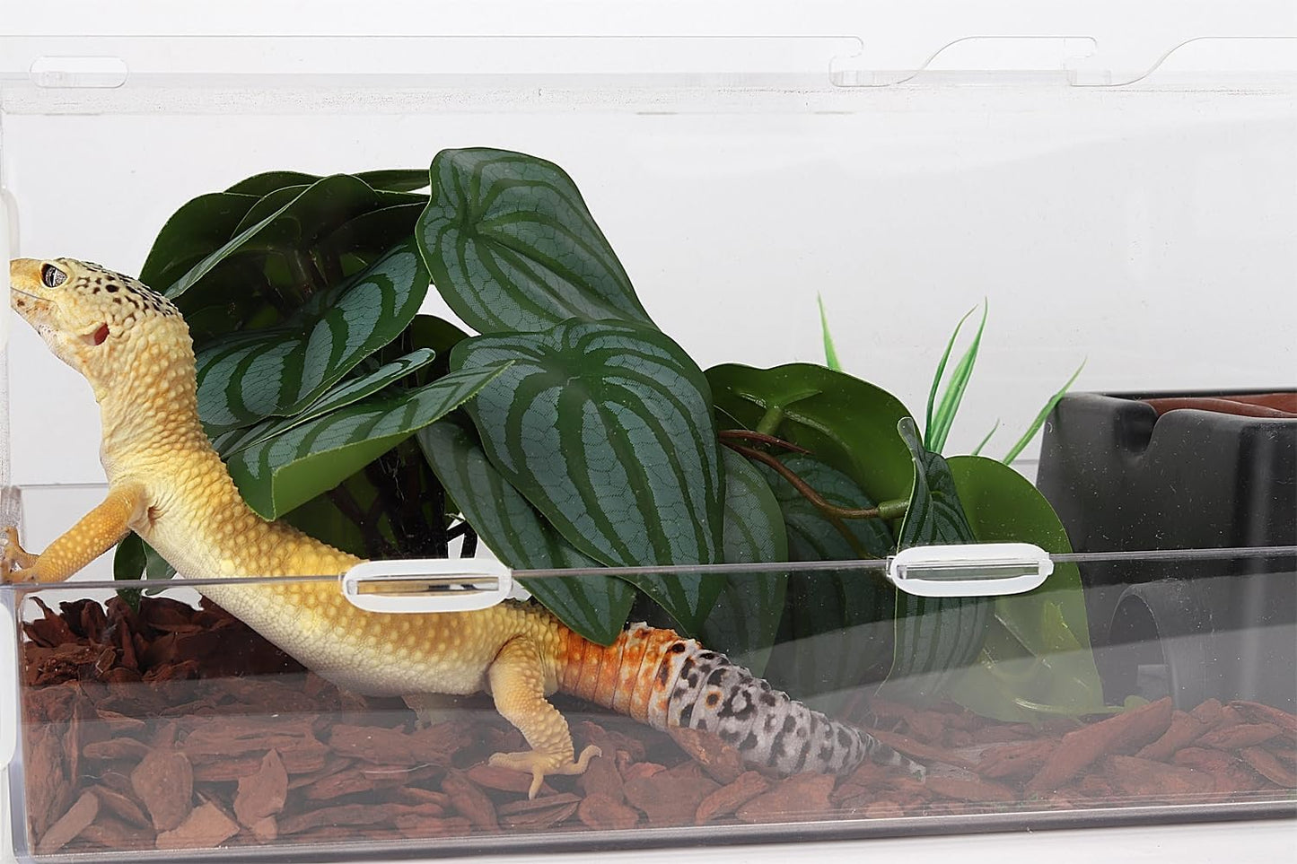 Reptile Plants for Terrarium, Ball Python Tank Decor Accessories fit Bearded Dragon Crested Leopard Gecko Lizard Chameleon Snake Frog Tortoise Hermit Crab - Fake Sweet Potato Vine