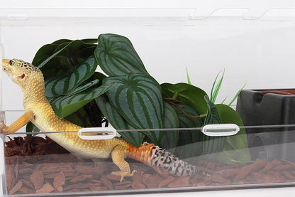 Reptile Plants for Terrarium, Ball Python Tank Decor Accessories fit Bearded Dragon Crested Leopard Gecko Lizard Chameleon Snake Frog Tortoise Hermit Crab - Fake Sweet Potato Vine
