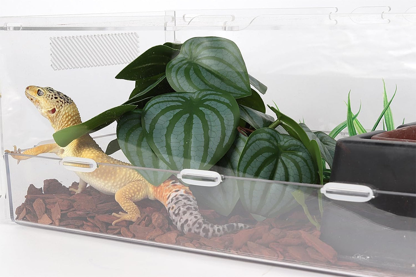 Reptile Plants for Terrarium, Ball Python Tank Decor Accessories fit Bearded Dragon Crested Leopard Gecko Lizard Chameleon Snake Frog Tortoise Hermit Crab - Fake Sweet Potato Vine