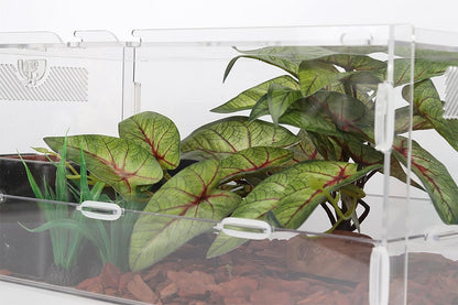 Reptile Plants for Terrarium, Ball Python Tank Decor Accessories fit Bearded Dragon Crested Leopard Gecko Lizard Chameleon Snake Frog Tortoise Hermit Crab - Fake Sweet Potato Vine