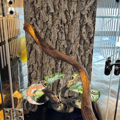 Resin Branch for Reptile Tank,Crested Gecko Climbing Branches with Hideout Cave Bearded Dragon Tank Accessories Lizard Terrarium Habitat Plant Decorations for Snake Gecko Spider Frog(Bronze)